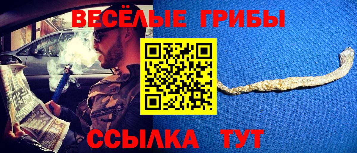 Назарово  Галлюциногенные грибы ЛСД  Вход с VPN 